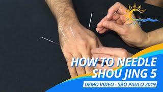 How to Needle Shou Jing 5? #譚針 #韓玉齡 #eileenhan #balancemethodacupuncture #正宗譚針 #shoujing5