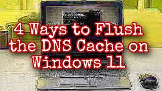 4 Ways to Flush the DNS Cache on Windows 11