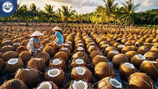 Coconut Oil Production: Inside a Coconut Factory: From Harvest to Oil and Sugar Production