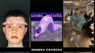 Мышка сосиска / Лучшие ролики из ТикТок. Best Compilation TikTok/