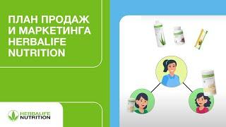 План продаж и маркетинга Herbalife