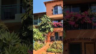 Walking in Botanical Garden, Madeira Portugal #vacation #madeira #portugal #travel #walking