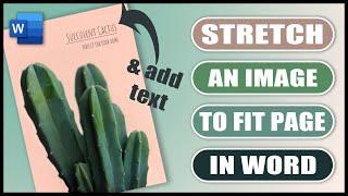 How to stretch a PICTURE TO FIT page in word | TEXT ON AN IMAGE in word
