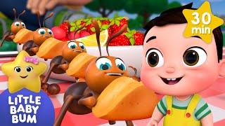 Marching Ants Parade + More | Little Baby Bum | Nursery Rhymes for Babies