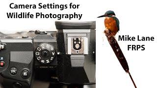 Camera settings for Wildlife Photography