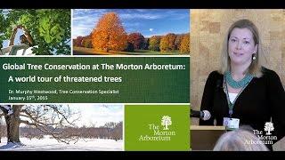 Global Tree Conservation: A world tour of threatened trees