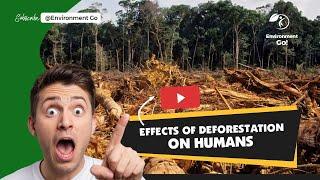 Effects of Deforestation on Humans