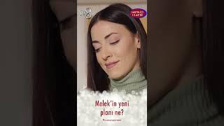 Melek’in yeni planı ne? - Canım Annem #shorts