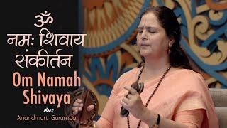 Om Namah Shivaya Sankirtan l Anandmurti Gurumaa