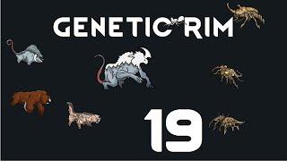 Let's Play Genetic Rim - 19 - Rimworld Royalty 1.1 Gameplay