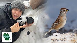 We Made A Bird Photography Blind Out Of Snow! Here’s What Happened…