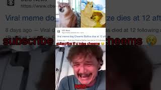 RIP Cheems  #shorts  #sad  #cheems #doge #viral #edit