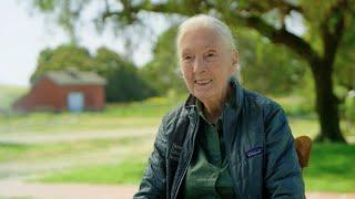 Jane Goodall: GIS For Science, Education and Action