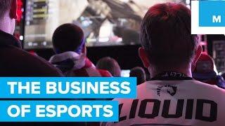The Business of Esports: Investing in Team Liquid - No Playing Field