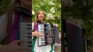 Beer Barrel Polka (OCTOBER FEST) #accordion #girl #music #elenastenkina