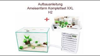 Aufbauanleitung Ameisenkomplettset Ameisenfarm H2 & XXL & XL