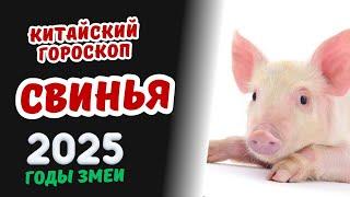 Свинья - Китайский гороскоп на 2025 год | Гороскоп по году рождения на 2025 год