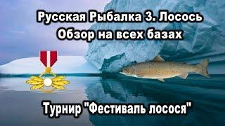 РР3. Лосось. Обзор на всех базах. Турнир "Фестиваль лосося"