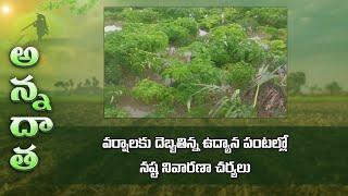 Heavy rain effect on horticulture crops and management | ETV