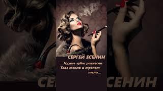 Поэзия под биты Сергей Есенин "Смешной разлад..." #музыка #гитара #топ Short