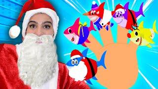 Christmas Baby Shark Finger Family Song - High Five Kids Videos