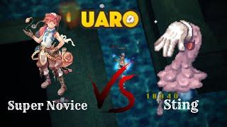 [uaRO] Super Novice on Stings