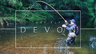 Dry Fly Fishing | Scotland | River Devon | Wild Brown Trout