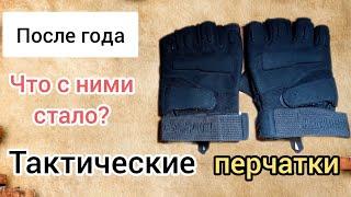 Тактические перчатки с AliExpress после года активной эксплуатации