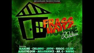 Alkaline - In The World (Preview) Frass House Riddim @JJevafrass Production