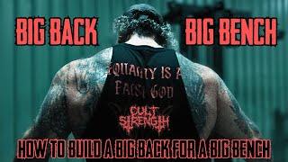 BIG BACK = BIG BENCH (How To Build A Big Back For A Big Bench)