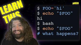 Environmental Variables Understood in Bash and Unix - You Suck at Programming #039