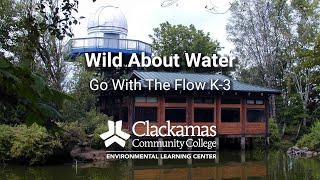 Wild About Water | Go With the Flow K-3