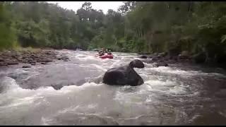 Ayo kelingi rafting dan tim ngelong Silampari TV(7)