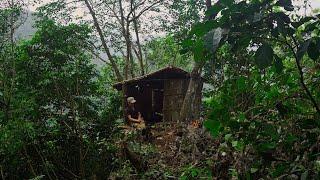 Build a primitive bark shelter on top of the mountain_Bushcraft shelter .