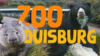Zoo Duisburg | Zoo Eindruck