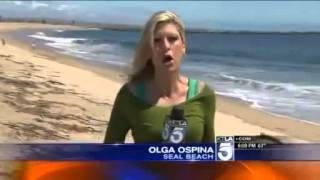 Mysterious Monster Washes Ashore in Seal Beach California  April 26, 2012