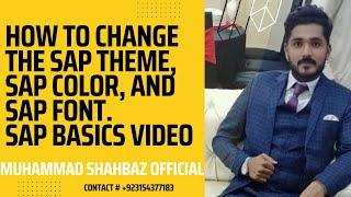 How to change SAP theme| How to change SAP colour | How to change SAP Font | SAP GUI basics Video