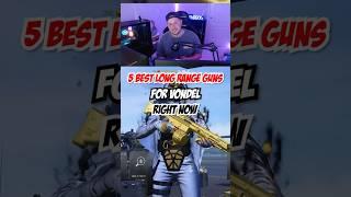 5 Best Long Range Guns For Vondel Right Now