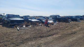 Checking out a junkyard with 140 classic cars that are for sale!