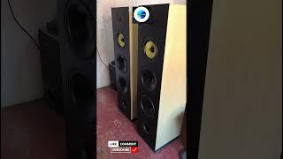 Diy High end tower speaker