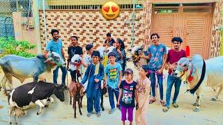 Cow Bhag Gayi | Cow Run Away | Hum Or Parinday | Pets Vlog