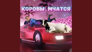 Коровы мчатся