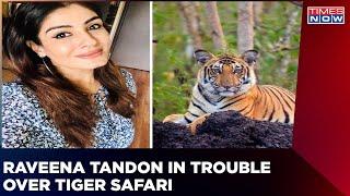 Actor Raveen Tandon In Trouble After Tiger Video | Probe Launched After Seen