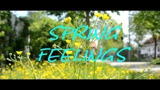 Summer is coming: Spring Feelings - Tropica-Pictures