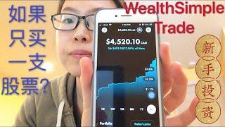 WealthSimple Trade 加拿大股票投资: 小白的第一年 涨了17%? 如果只能拥有一支股票我会买什么