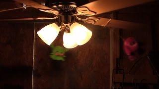 Ceiling Fan Destruction 3