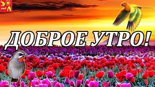 Доброе Утро! Красивое музыкальное пожелание с Добрым Утром! Видео Пожелание С Добрым Утром 2020