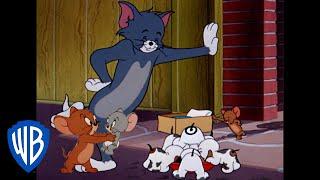 Tom y Jerry en Latino | Dibujos animados clásicos 118 | WB Kids