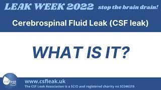 What is a CSF leak?