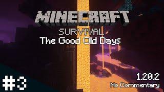 Minecraft Survival | The Good Old Days #3 | No Commentary | 1.20.2